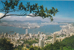 Delcampe - HONG  KONG & KOWLOON From The Peak - China (Hongkong)
