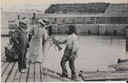 Delcampe - ROSCOFF - Un Coin Du Vivier - Achat D'une Langouste - Roscoff
