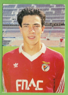 Delcampe - Lisboa - Sport Lisboa E Benfica - Paulo Sousa - Estádio Da Luz - Futebol - Portugal - Fussball