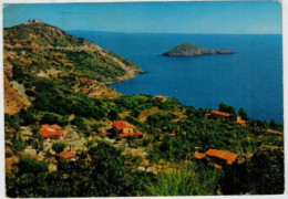 Delcampe - PORTO  ERCOLE VILLE  E  ISOLOTTO   (TARGHETTA)     2 SCAN  (VIAGGIATA) - Grosseto