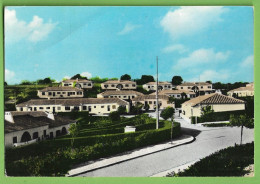 Delcampe - Albufeira - Vista Parcial. Faro. Portugal (Fotográfico) - Faro