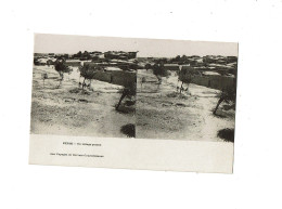 Delcampe - IRAN ( PERSE ) UN VILLAGE PERSAN - Iran