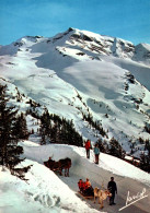 Delcampe - 2073   Cpm  MORZINE - AVORIAZ : Promenade En Traineau Avec Les Rennes Face Aux Pistes ,  Jolie Carte Photo  !    ! - Morzine