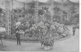 Delcampe - GAND ( Belgique ) -  Floralies Gantoise - Gent