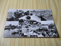 Delcampe - CPSM Trégastel (22).Vues Diverses. - Trégastel