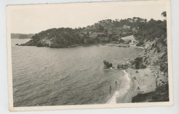 Delcampe - LE PRADET - Plage Des Bonnettes (1953) - Le Pradet