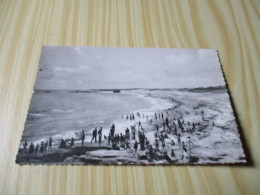 Delcampe - CPSM Lesconil (29).La Plage Du Sémaphore - Carte Animée. - Lesconil