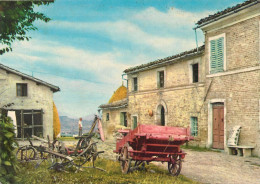 Delcampe - 31998 "CONTESTO RURALE " ANIMATA-VERA FOTO-CART.POST. NON SPED. - Bauernhöfe