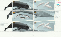 Delcampe - Bloc Canada Rorqual Bleu - Blocks & Kleinbögen