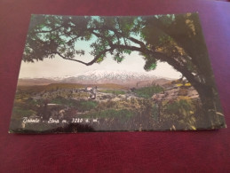 Delcampe - CARTOLINA BRONTE - ETNA- VIAGGIATA 1963- VERA FOTOGRAFIA - Catania