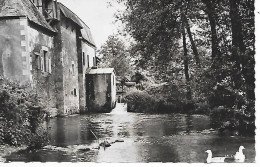 Delcampe - BLENEAU ( 89 ) - Moulin Du Bazin ( C.P.S.M. , Pt - Ft ) - Bleneau