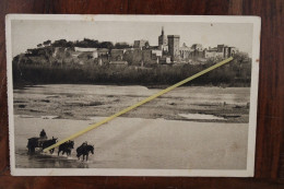 Delcampe - Cpa AK 1928 Charrette Attelage Chevaux Bords Du Rhône Avignon Vaucluse (84) - Sonstige & Ohne Zuordnung