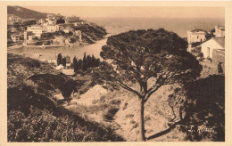 Delcampe - CERBERE : FONTAINE DU PIN - Cerbere