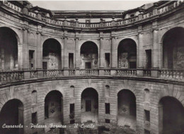 Delcampe - CARTOLINA  CAPRAROLA VITERBO LAZIO IL CORTILE NON VIAGGIATA    X44 - Viterbo