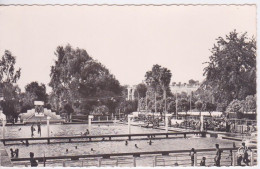 Delcampe - MAROC MOROCCO - MEKNES - LA GRANDE PISCINE MUNICIPALE - Meknes