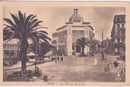 Delcampe - ALGERIE - ORAN - LA MAISON DU COLON - Oran