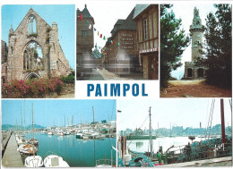 Delcampe - Paimpol Multivues - Paimpol