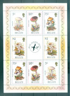 Delcampe - Belize 1986 - Y & T N. 829/32 - Champignons (Michel N. 930/33 Kb) - Belize (1973-...)