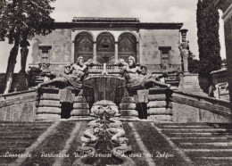 Delcampe - CARTOLINA  CAPRAROLA VITERBO LAZIO PARTICOLARE VILLA FARNESE FONTANA DEI DELFINI NON VIAGGIATA    X44 - Viterbo