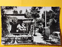 Delcampe - CPSM - 13 - ISTRES - LE RANQUET - UNE RUE DANS LA PINÉDE- MAGASIN D'ALIMENTATION - CARTE RARE - Istres