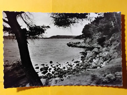 Delcampe - CPSM - 13 - ISTRES - ET SES ENVIRONS - LA PLAGE ST MARTIN - Istres