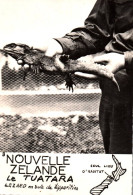 Delcampe - Nouvelle Zélande - Le Tuatara - Lézard - Océanie - Animal Faune - Neuseeland
