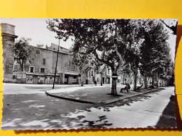 Delcampe - CPSM - 13 - ISTRES - LE COURS - Istres