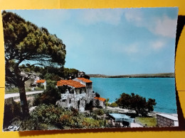 Delcampe - CPSM - 13 - ISTRES - PROMENADE AU BORD DE L'ÉTANG  - JANONE - CARTE EN TBE - Istres