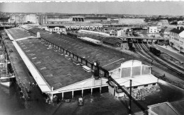 Delcampe - Lorient Port De Pêche Les Halles La Criée Embranchement Du Train De Marée - Lorient