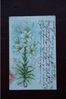 Delcampe - FLEUR : LYS - Blumen