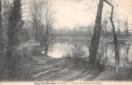 95 JOUY LE MOUTIER ENTREE DU GOUJON DE L OISE - Jouy Le Moutier