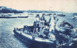 Delcampe - 33 - ARES - S13049 - Bassin D'Arcachon - Ostréiculteurs - Nettoyage Et Triage Des Huitres - Arès