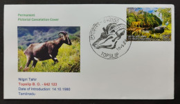 Delcampe - India 2024 Nilgiri Tahir Topslip Tamilnadu - Special Cover As Per Scan - Wild