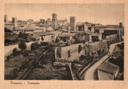 Delcampe - CARTOLINA DI  TARQUINIA - VITERBO  - 5 - Viterbo