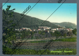Delcampe - °°° Cartolina N. 2125 - Roccamonfina Panorama Viaggiata °°° - Caserta