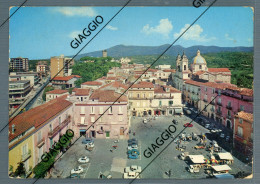 Delcampe - °°° Cartolina N. 2129 - Sessa Aurunca Piazza Mercato Viaggiata °°° - Caserta
