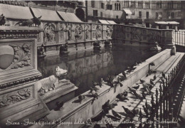 Delcampe - CARTOLINA  SIENA TOSCANA FONTE GAIA DI JACOPO DELLA QUERCIA NON VIAGGIATA   X44 - Siena
