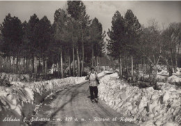 Delcampe - CARTOLINA  ABBADIA S. SALVATORE M. 829 SIENA TOSCANA RITORNO AL RIFUGIO NON VIAGGIATA  X44 - Siena