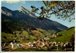 Delcampe - CPSM  10.5 X 15  Isère  SAINT PIERRE DE CHARTREUSE  Vue Générale - Chartreuse