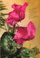 Delcampe - BIRTHDAY, CELEBRATION, HOLIDAY, FLOWERS, POSTCARD, GERMANY - Geburtstag