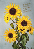 Delcampe - BIRTHDAY, CELEBRATION, HOLIDAY, FLOWERS, SUNFLOWER, POSTCARD, GERMANY - Geburtstag
