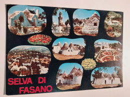 Delcampe - SELVA DI FASANO   BRINDISI   PUGLIA   NON  VIAGGIATA - Brindisi