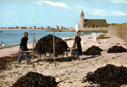 Delcampe - 2087  Cpm    SAINT GUENOLE  - PENMARC'H : Ramassage Du Goëmon  ! Jolie Carte Photo  ! - Penmarch