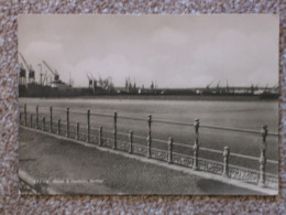 Delcampe - DURBAN DOCKS, RP - Handel