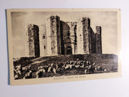 Delcampe - Andria Castel Del Monte Castello Castle VIAGGIATA  COME DA FOTO FORMATO PICCOLO - Andria