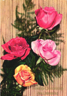 Delcampe - BIRTHDAY, CELEBRATION, HOLIDAY, FLOWERS,  ROSES, POSTCARD, GERMANY - Geburtstag