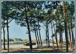 Delcampe - MIMIZAN - Villas Au Bord Du Courant Et L'Hôtel Mermoz - Mimizan