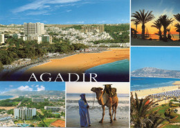 Delcampe - CPM - F - MAROC - SOUVENIR D'AGADIR - CHAMEAU - Agadir