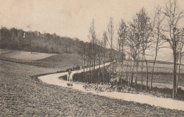 Delcampe - 78 LA CELLE DES BORDES. Le Vautrail De M. Le Comte De Malessye Pour La Chasse à Courre 1905 - La Celle Saint Cloud
