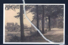 Delcampe - PHOTO   SCHUELEN HERK DE STAD LIMBURG REPRO - Herk-de-Stad